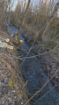 Gospodarstwo rolne 8800m2. dla każdego. Gmina Szadek. - 14