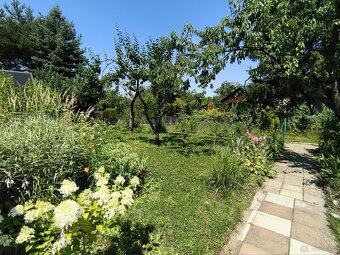 Urokliwa działka ROD "Kopernik" - 14