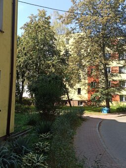3 pokoje w cenie kawalerki - ul. Sienkiewicza - 14