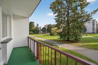 4 pokoje + balkon w centrum Gryfina. - 14