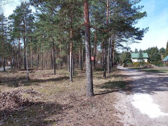 Leśno-budowlana - 14