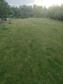 Duzy dom 230m2 z duza działką (54ar) - 14