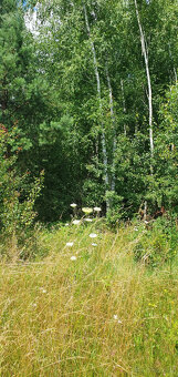 Sprzedam działki - 14