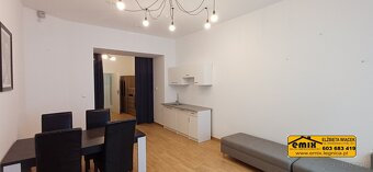 Lokal - dwa mieszkania, parter, po remoncie, wyposażone - 14