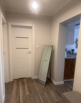 Mieszkanie o pow. 50m2, umeblowane, I p., ścisłe Śródmieście - 14