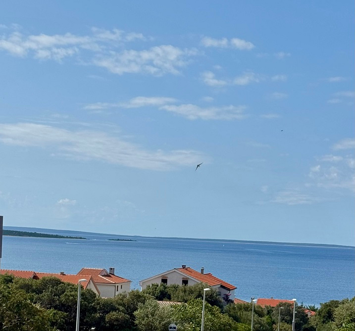 Chorwacja-trzypokojowy apartament z widokiem na morze-PAG - 15