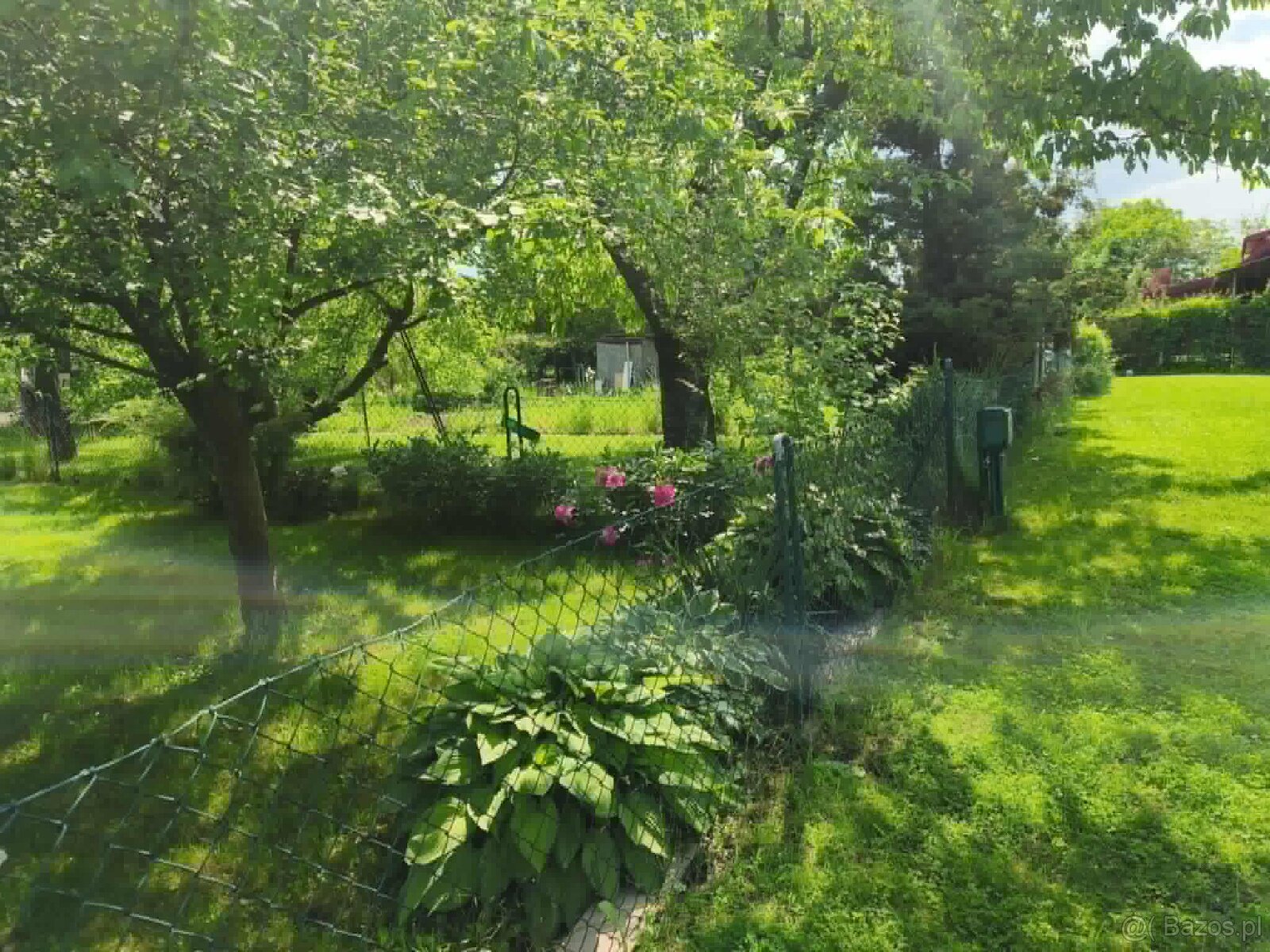 ROD "Strumyk" Tarnów - 15