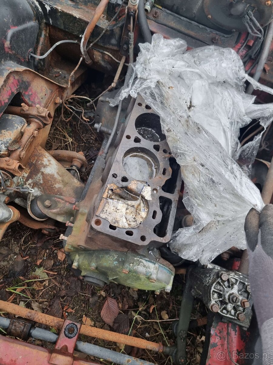 Volkswagen Ogórek, Rolls Royce, Mustang, Volvo, Triumph - 15