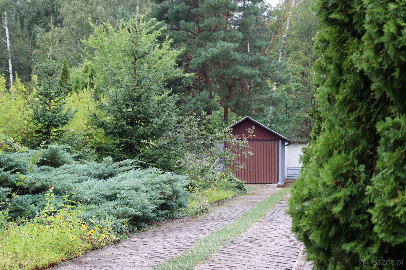 Dom wśród zieleni przy lesie - 15