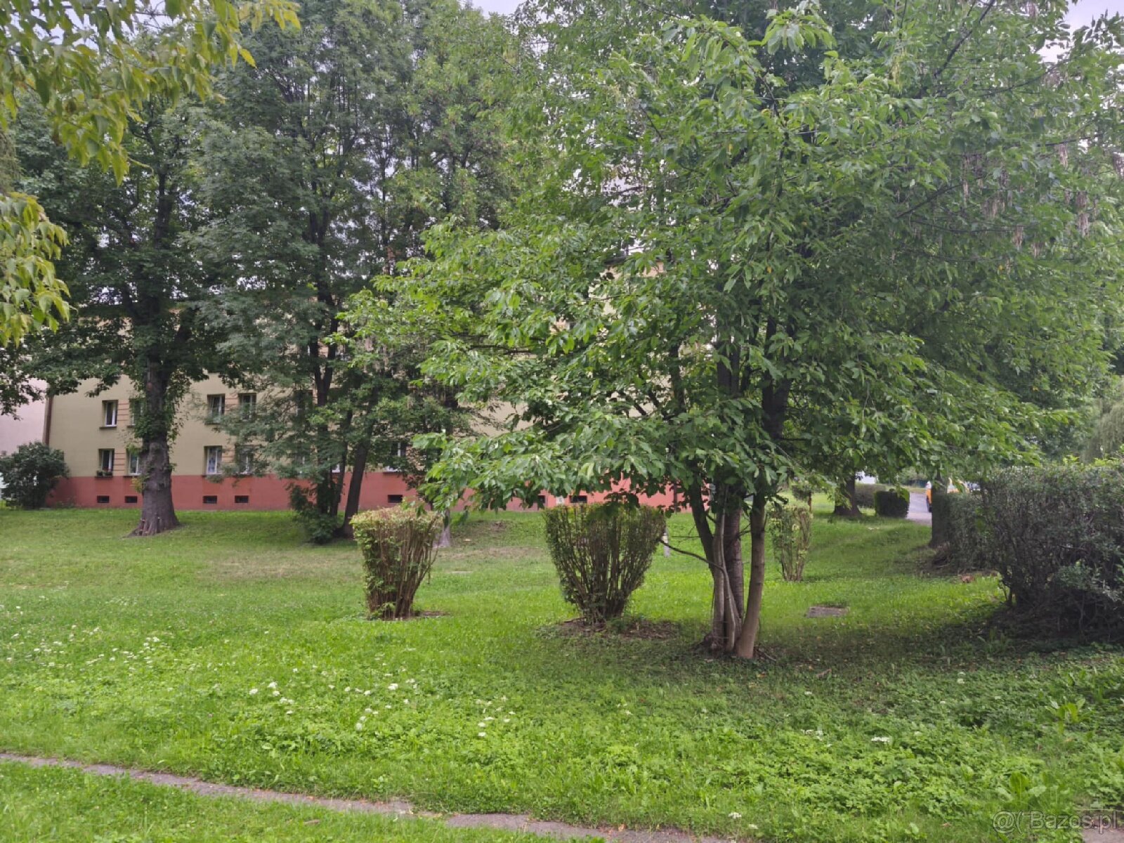 Mieszkanie z niskim czynszem - 3 pokoje - 15