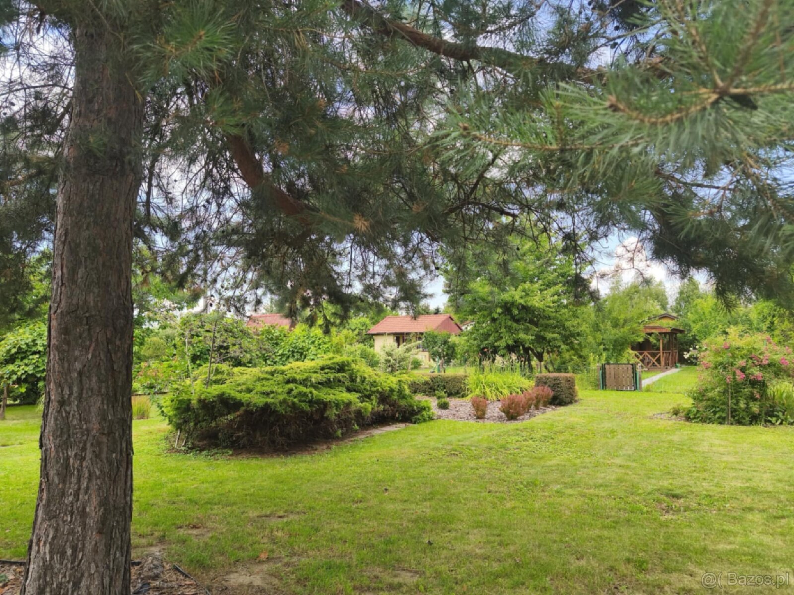 ROD "Słonecznik" Tarnów ul. Ostrogskich - 15