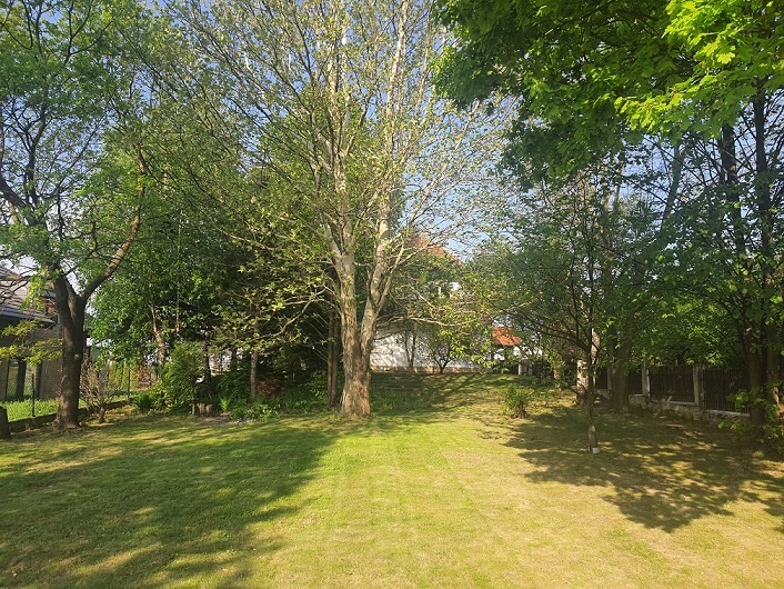 Komfortowy dom z 2 garażami i ogrodem Nowy Sącz - 15