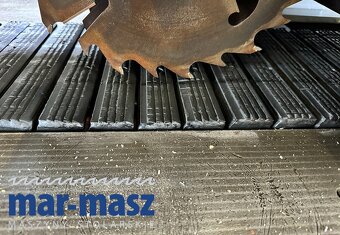 Wielopiła gąsienicowa automatyczna SCM M3 do obróbki drewna - 15