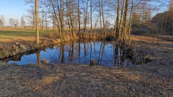 Gospodarstwo rolne 8800m2. dla każdego. Gmina Szadek. - 15