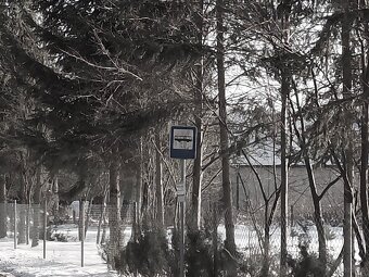 Leśno-budowlana - 15