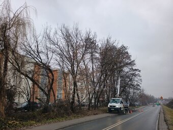 Kompleksowe ogrodnictwo, pielęgnacja i wycinka drzew - 15