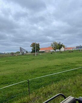 stajnie dla koni, źrebiąt i emerytów - 15
