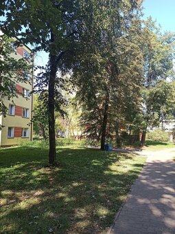 3 pokoje w cenie kawalerki - ul. Sienkiewicza - 15