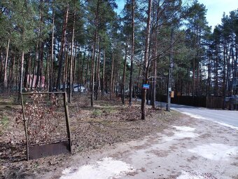 Leśno-budowlana - 15