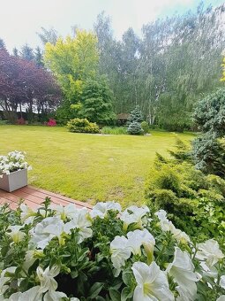 Ekskluzywny dom w Zdunach o powierzchni 347m², działka 3520m - 15