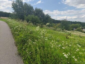 Działka budowlana z widokiem na Tarnów – Pleśna - 15
