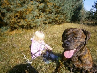 Atrakcyjna działka z dostępem do mediów (światłowód) w drodz - 15