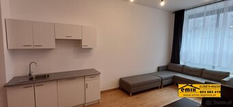 Lokal - dwa mieszkania, parter, po remoncie, wyposażone - 15