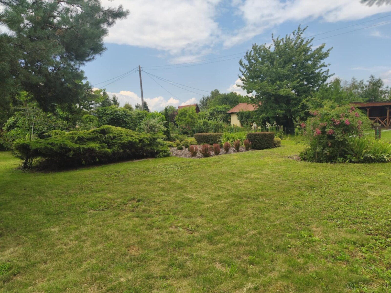 ROD "Słonecznik" Tarnów ul. Ostrogskich - 16