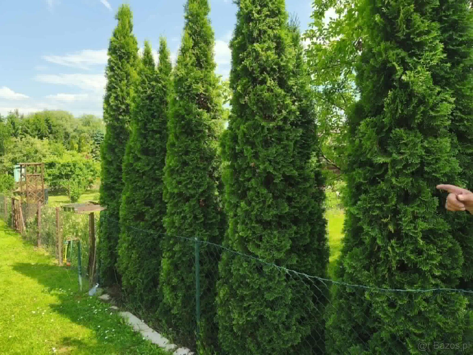 ROD "Strumyk" Tarnów - 16