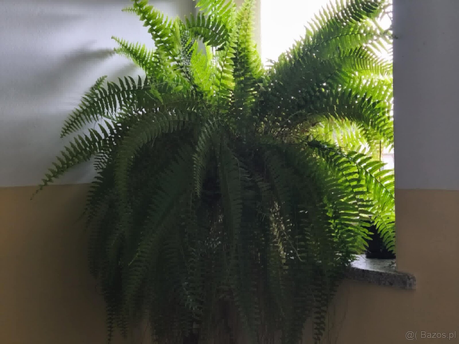 Dwupokojowe mieszkanie na Brandstaettera - 16