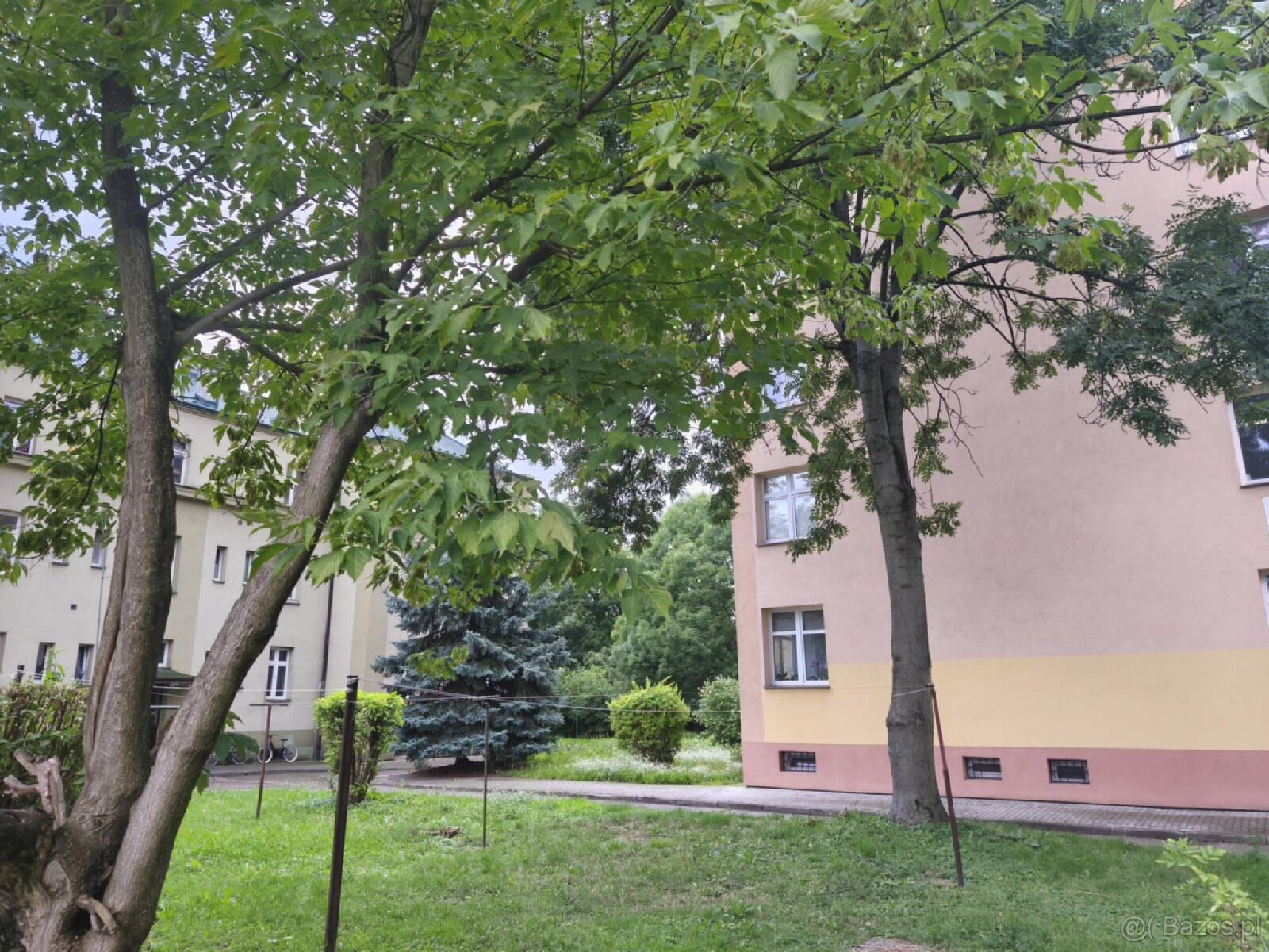 Mieszkanie z niskim czynszem - 3 pokoje - 16