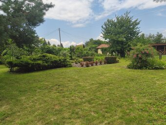 ROD "Słonecznik" Tarnów ul. Ostrogskich - 16