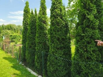 ROD "Strumyk" Tarnów - 16