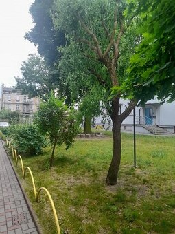 2 pokojowe mieszkanie, 34 m2, III piętro, Centrum - 16
