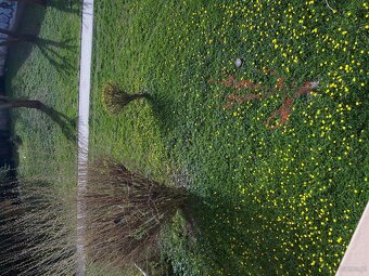 Wyjątkowa okazja, mieszkanie do sprzedan przy ul.Fromborskie - 16