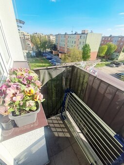 Mieszkanie 2 pokojowe o pow.39m2, balkon, IV p., Kalisz - 16
