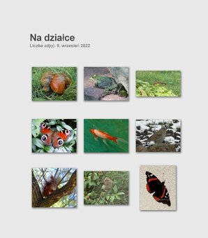 Dom wśród zieleni przy lesie - 16