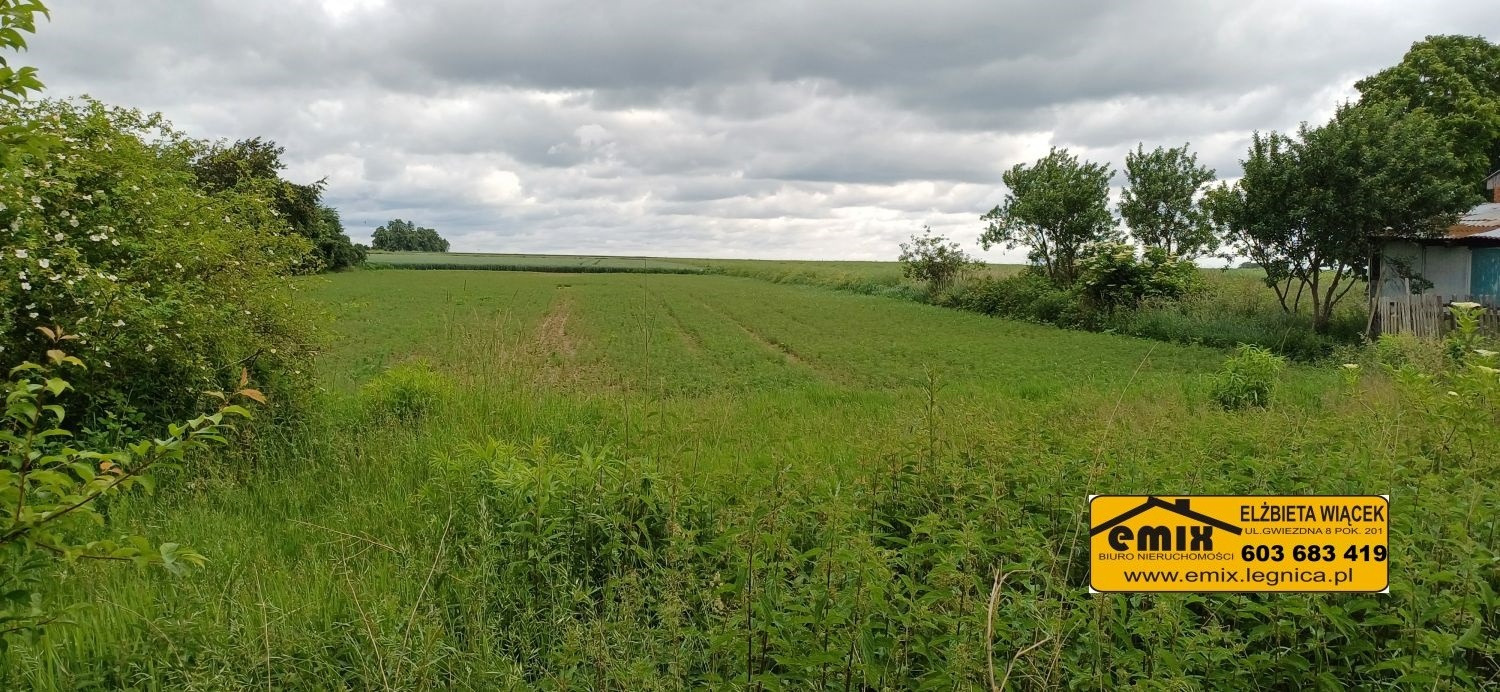 Działka z możliwością rozbudowy domu - 5 km od Chojnowa - 17