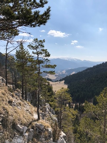 Chata pod Halinami (SKI i BIKEpark Malinô Brdo – Słowacja) - 17