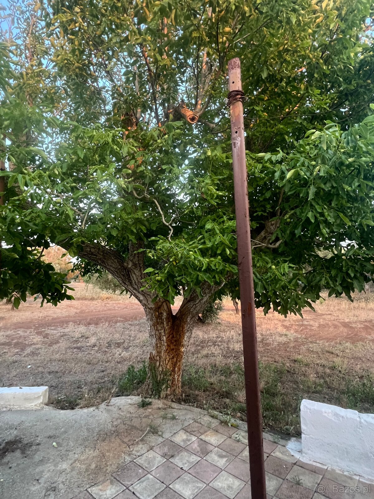 Willa 8 km od morza, południowe Włochy🇮🇹 - 17