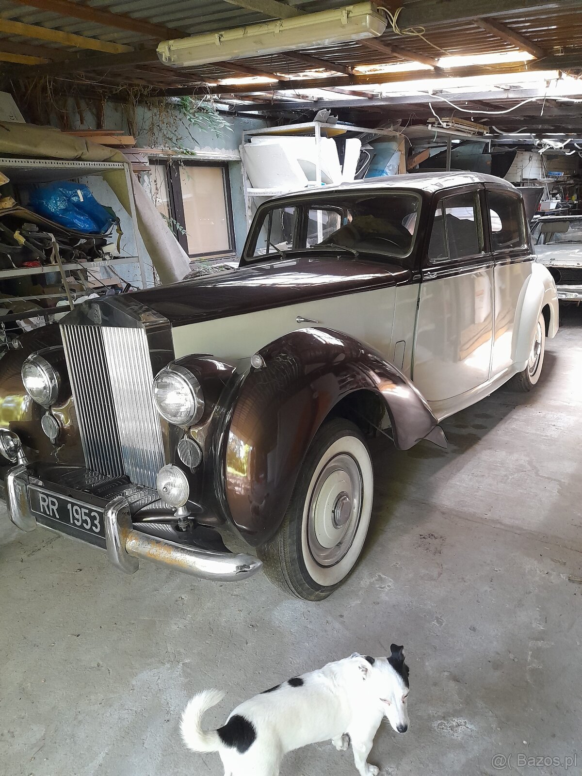 Volkswagen Ogórek, Rolls Royce, Mustang, Volvo, Triumph - 17