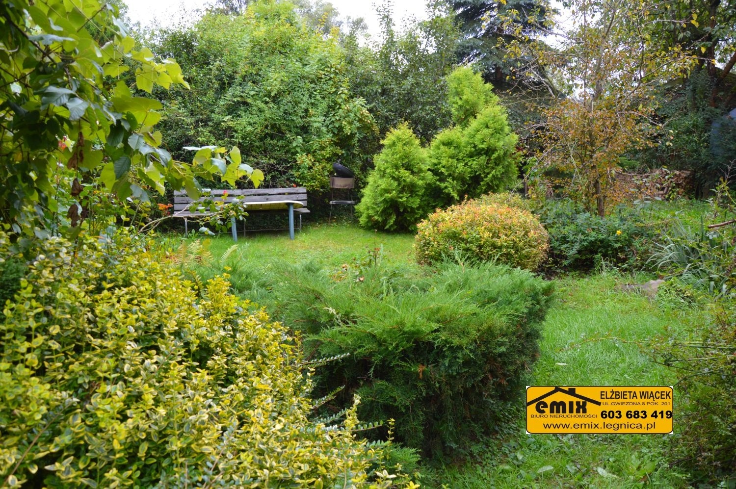 3 pokoje na parterze, po remoncie, 7 km od Złotoryi - 17