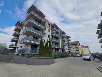 2 pokojowe mieszkanie o pow.42,50m2, Ip.,Korczak Park - 17