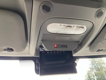 Renault Master – Transporter koni 1–2 konie | 2024 - 17