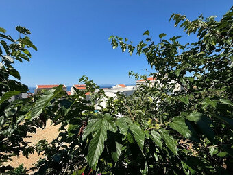 Chorwacja-apartament s widokiem na morze-PAG - 17