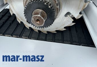 Wielopiła gąsienicowa wielotarczowa RAIMANN typ K23 250/120 - 17