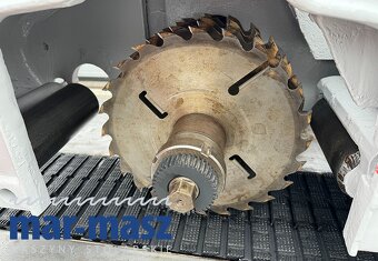 Wielopiła gąsienicowa RAIMANN 250/120 - 17