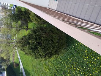 Wyjątkowa okazja, mieszkanie do sprzedan przy ul.Fromborskie - 17