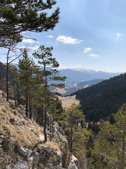 Chata pod Halinami (SKI i BIKEpark Malinô Brdo – Słowacja) - 17