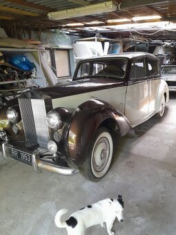 Volkswagen Ogórek, Rolls Royce, Mustang, Volvo, Triumph - 17